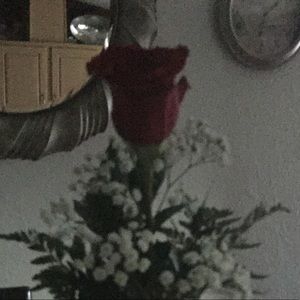 Meet your Posher, Claudia